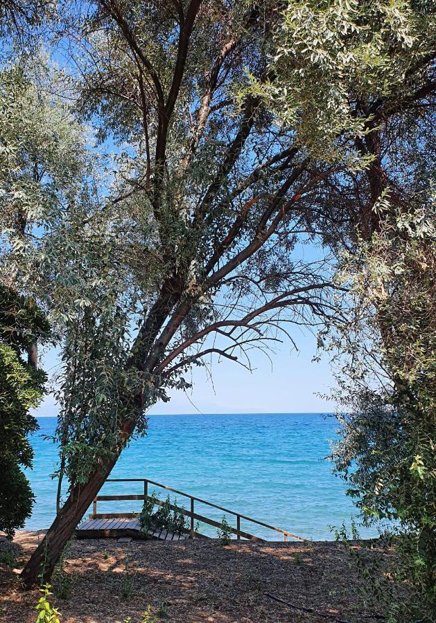 Villa Al-Ari Diakopto Exterior photo